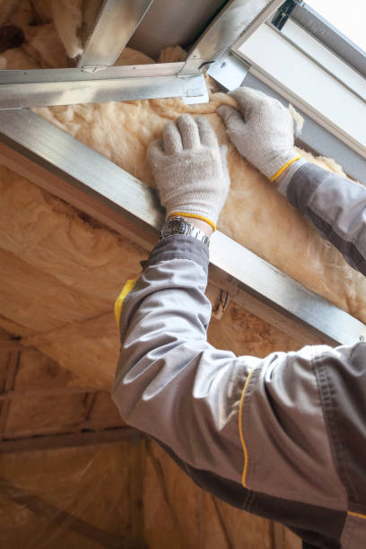 Best Commercial Insulation in Burlington, KS